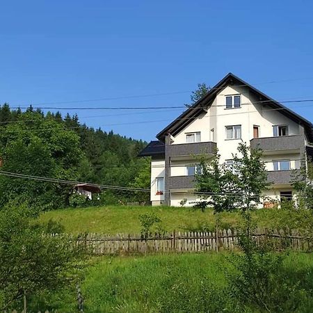 Villa Casa Danci Centru Borşa Exterior foto