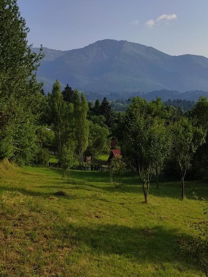 Villa Casa Danci Centru Borşa Exterior foto
