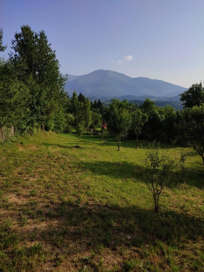 Villa Casa Danci Centru Borşa Exterior foto