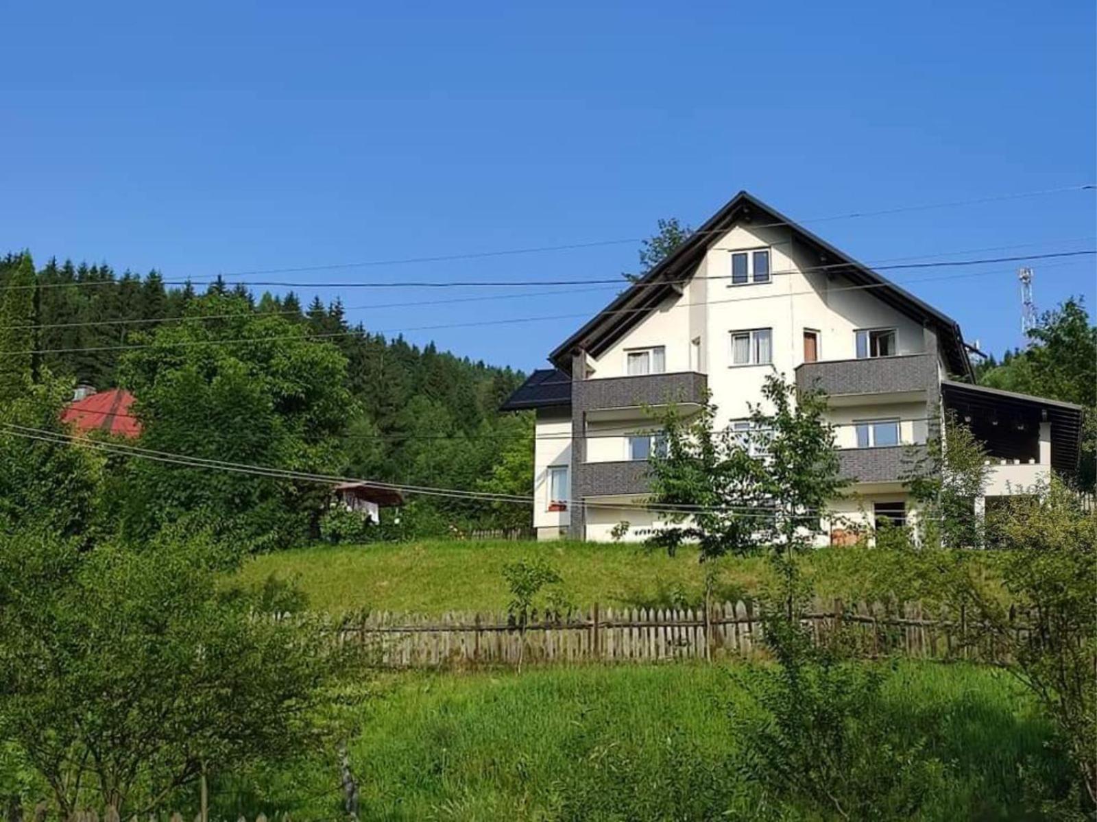 Villa Casa Danci Centru Borşa Exterior foto
